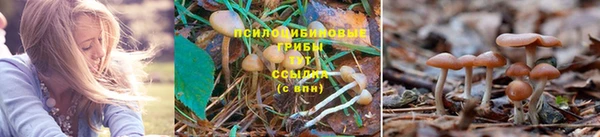 спайс Майский