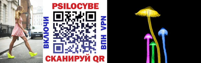 Купить  Ковдор  Псилоцибиновые грибы мицелий 